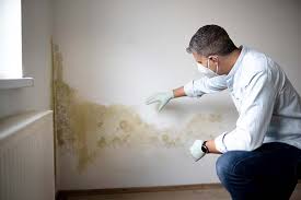 Best Mold Remediation for Healthcare Facilities  in Cleveland, GA